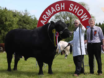 armagh show